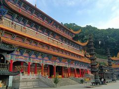 -东莞市大岭山森林公园