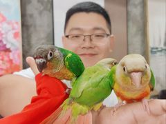 -吾叁·吉趣鸟咖(万科店)