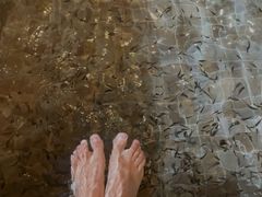 -中家鑫园温泉酒店鑫悦汤泉