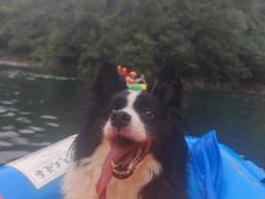 -安吉龙王山峡谷漂流