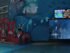 -烟台海昌鲸鲨海洋公园