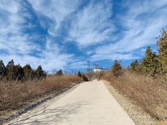 -北京西山国家森林公园