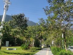 -梧桐山风景名胜区