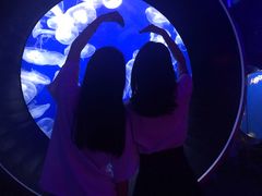 -成都浩海立方海洋公园