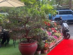 -山水茶艺馆·点心粤菜·30年老字号