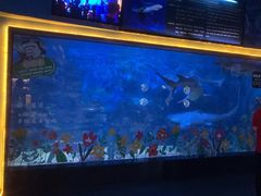 -烟台海昌鲸鲨海洋公园