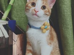 -螺世纪螺蛳粉·桂味小排档(裕德店)