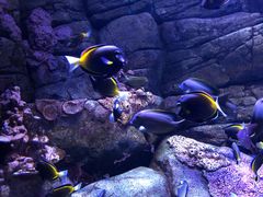 -成都浩海立方海洋公园