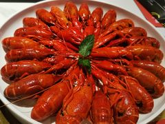 -96农蝎虾(江桥老街店)