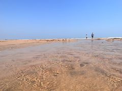 -日照海滨国家森林公园