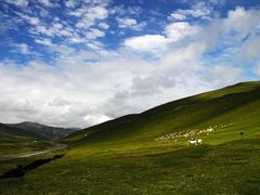 -青海湖国家重点风景名胜区