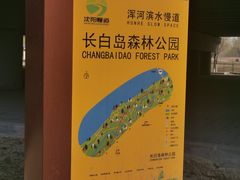 -长白岛森林公园