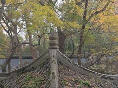 -绮园景区