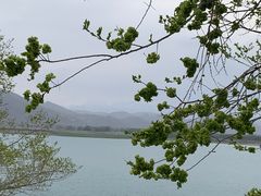 -天梯山石窟