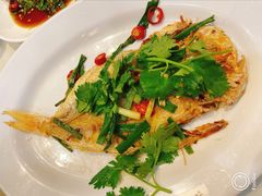 干煎鱼-长平老姿娘夜粥(平东一街店)