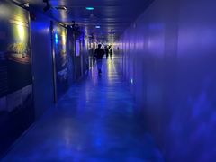 -白鹤梁水下博物馆
