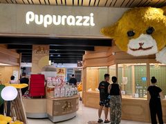 -帕帕拉兹宠物(亚洲旗舰店)