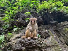 -三峡人家风景区