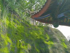 -成都老君山