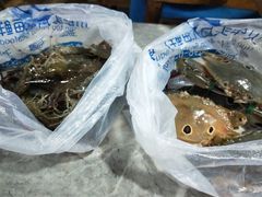 -四川小胡子海鲜(丁村万人海鲜广场店)