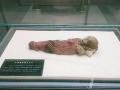 -巴音郭楞蒙古自治州博物馆