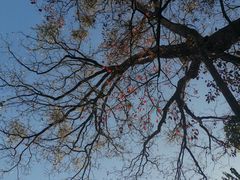 -昆明市金殿名胜区