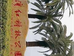 -宝安西湾红树林湿地公园