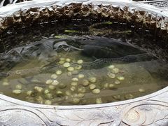 -丝绸小镇荻港古村