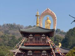 -庐山风景名胜区-东林大佛