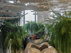 -哈尔滨圣安口腔专科医院