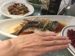 -城北食府(枫林店)