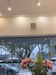 -章光101防脱养发荟