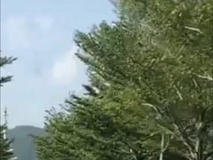 -亚龙湾国际玫瑰谷