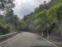 -泽雅景区