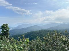 -武陵山森林公园