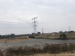 -紫颐香薰山谷景区