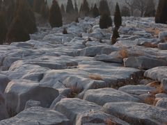 -原山国家森林公园