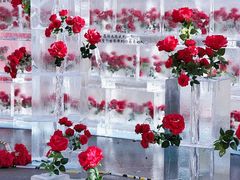 -万达广场(龙湖店)