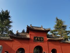 -洛阳白马寺
