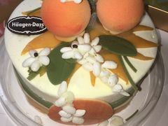 -哈根达斯(陆家浜路店)