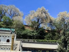 -五台山风景区
