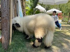 -HERRE·FARM 赫尔露营农场·团建聚会包场