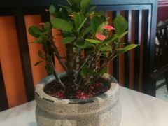 -老廣糖水铺(乐汇城店)