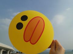 -演武大桥观景平台