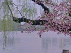 -莫愁湖公园