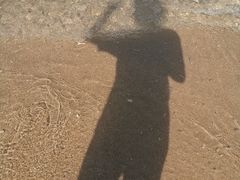 -味餐厅·海鲜·火锅·自助餐