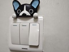 -北京观赏动物医院·24小时大型综合·猫专科·异宠专科