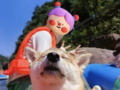 -安吉龙王山峡谷漂流