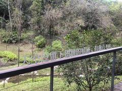 -云溪植物园