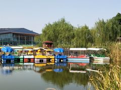 -上海长兴岛郊野公园